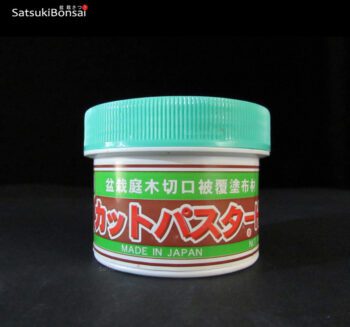 Mastice cicatrizzante 160gr Conifere