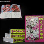 Enciclopedia delle azalee Satsuki