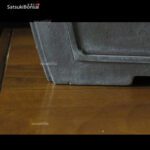 Pino pentaphylla var. Kokonoe VENDUTO - immagine 12