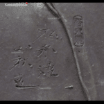 Pino pentaphylla var. Kokonoe VENDUTO - immagine 14