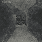 Pino Pentaphylla Goyomatsu VENDUTO - immagine 12