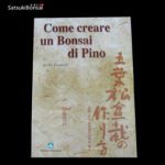 Come creare un bonsai di pino di Abe Kurakichi