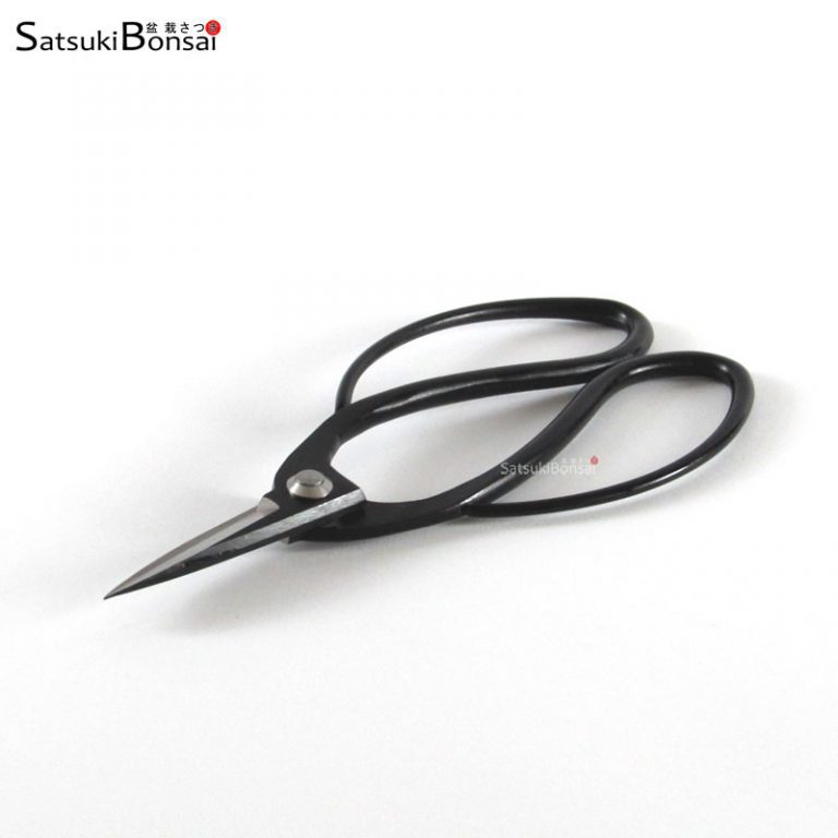 Sgorbia Larga Per Bonsai In Acciaio Inox - 195mm Per Carving E Lavorazione Legno - Foto 6