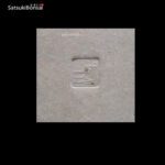 Pinus Pentaphylla var. Kokonoe VENDUTO - immagine 7