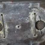 Taxus Baccata - Tasso VENDUTO - immagine 11