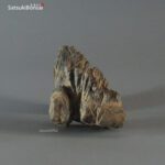 Suiseki palombino - immagine 2