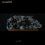 Roccia Ibigawa (Japan) 74-30-15 cm VENDUTO - immagine 4