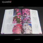 Enciclopedia delle azalee Satsuki 2021 - immagine 2