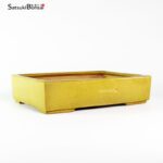 TO-015 Ikkou - immagine 2