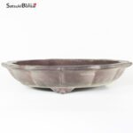 T2031 41.5x8.5 - Yamaaki 1°gen.