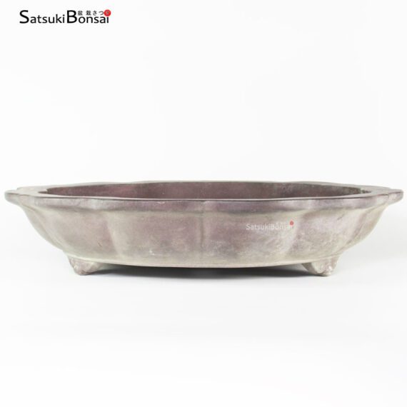 T2031 41.5x8.5 - Yamaaki 1°gen. - immagine 2