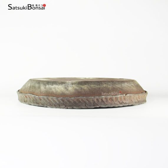 T2214_2-Ryuugaku T2214 40.5 x 7.0 - Marutsune Ryuugaku - immagine 2