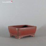 T2243 10.1 x 7.8 x 4.2 - Bigei