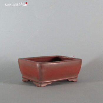 T2243 10.1 x 7.8 x 4.2 - Bigei