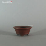 T2262 7.1 x 3.1 - Bigei