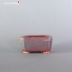 T2301 5.6 x 4.2 - Tessai - immagine 2