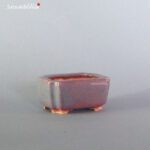 T2301 5.6 x 4.2 - Tessai