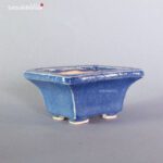 T2303 7.7 x 5.7 - Tessai