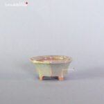 T2307 4.6 x 4.4 x 2.0 - Tessai