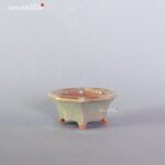 T2307 4.6 x 4.4 x 2.0 - Tessai - immagine 2