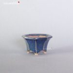 T2308 5.4 x 5.0 x 3.0 - Tessai - immagine 2