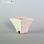 T2312 4.7 x 4.6 x 3.6 - Tessai