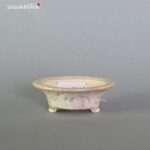 T2315 6.2 x 2.0 - Tessai