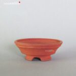 T2321 8.3 x 3.1 - Tessai - immagine 2