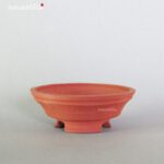 T2321 8.3 x 3.1 - Tessai