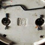 Acer Buergerianum - Kaede VENDUTO - immagine 8