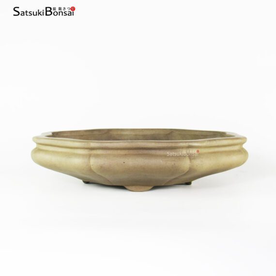 T2336 34.5x32.5x8.0 - Zenigo - immagine 2