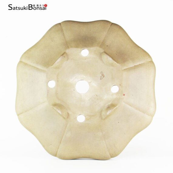 T2336 34.5x32.5x8.0 - Zenigo - immagine 3