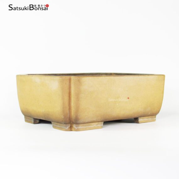 T2337 35.0x27.0x12.0 - Shouzan - immagine 2