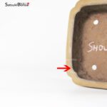 T2337 35.0x27.0x12.0 - Shouzan - immagine 3