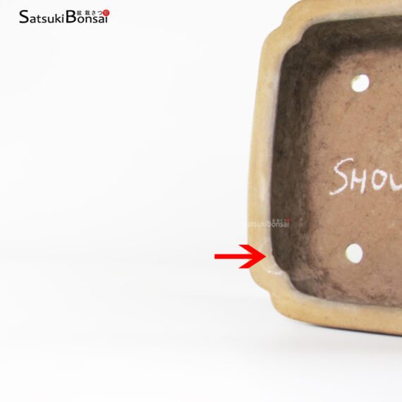 T2337 35.0x27.0x12.0 - Shouzan - immagine 3