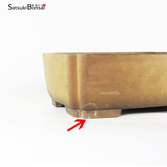 T2337 35.0x27.0x12.0 - Shouzan - immagine 4