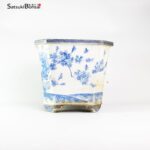 T2342 32.0x25.8x23.5 - Imari - immagine 5