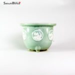 T2343 22.5x17.0 - Owari