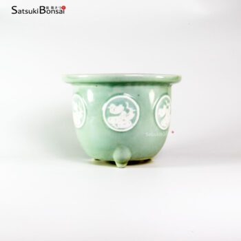 T2343 22.5x17.0 - Owari