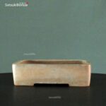 T2359 19.0x14.5x5.0 - Wabachi - immagine 2