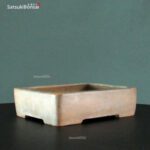 T2359 19.0x14.5x5.0 - Wabachi