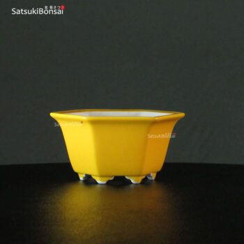 VY-291 12.0x10.8x6.0 cm