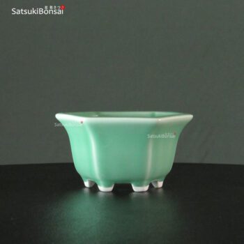 VY-292 11.5x10.5x6.0 cm