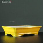 VY-297 22.0x16.5x5.5 cm