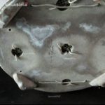 Azalea Satsuki Var. HI-NO-MARU RISERVATO - immagine 12