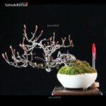 POURTHIAEA VILLOSA VENDUTO - immagine 2