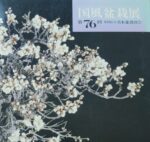 Taxus Cuspidata - Tasso 76° KOKUFU TEN 2002 - immagine 21