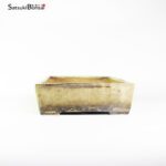 T2207 40.0x26.5x9.0 Katsumeisho - Nakawatari - immagine 5