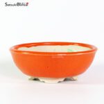 T2420 12.5x4.5 - Juon