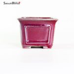 T2421 12.5x9.5 - Shibakatsu